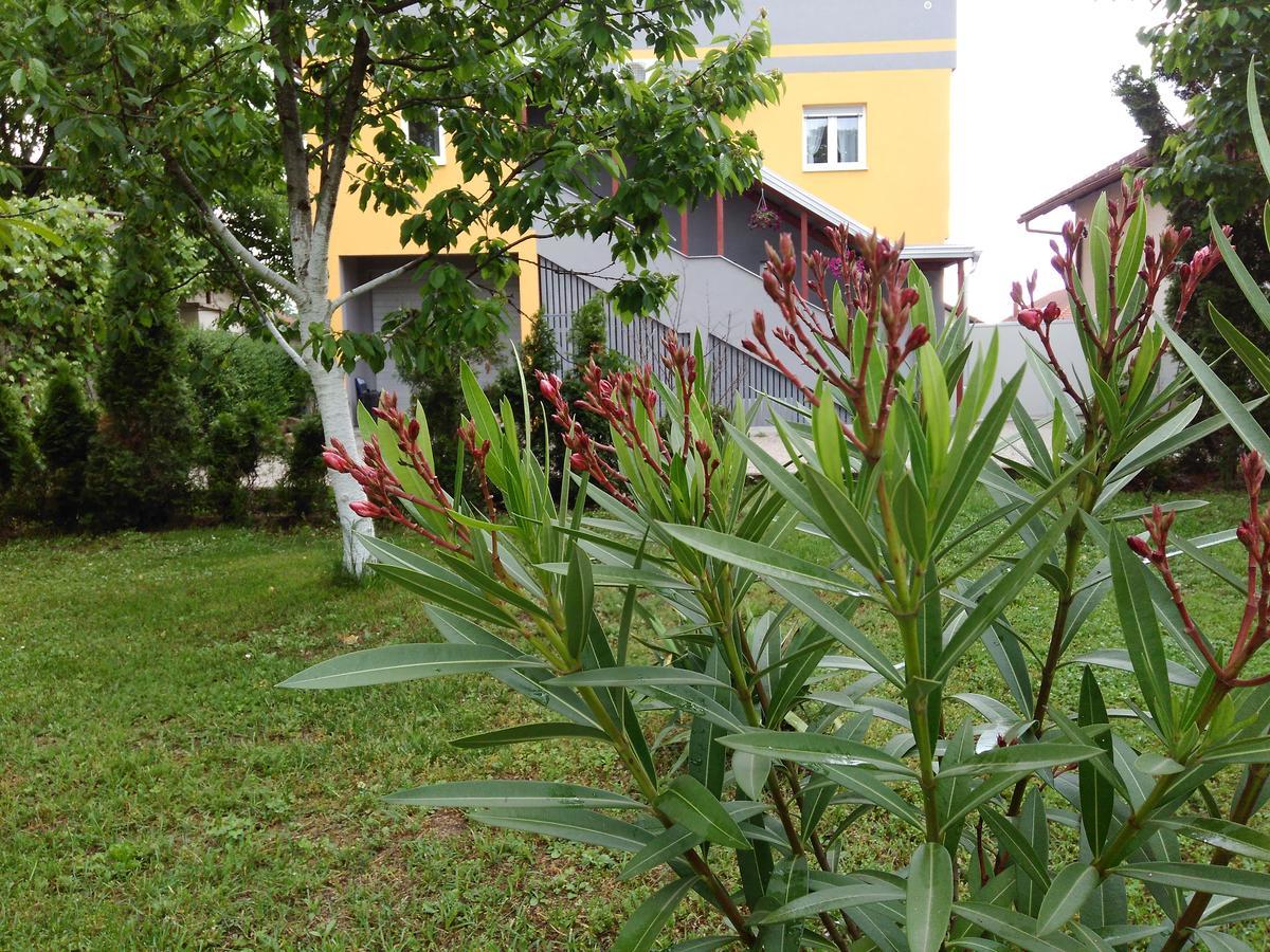 Apartmani Jasmina 2 Bihać Exteriör bild