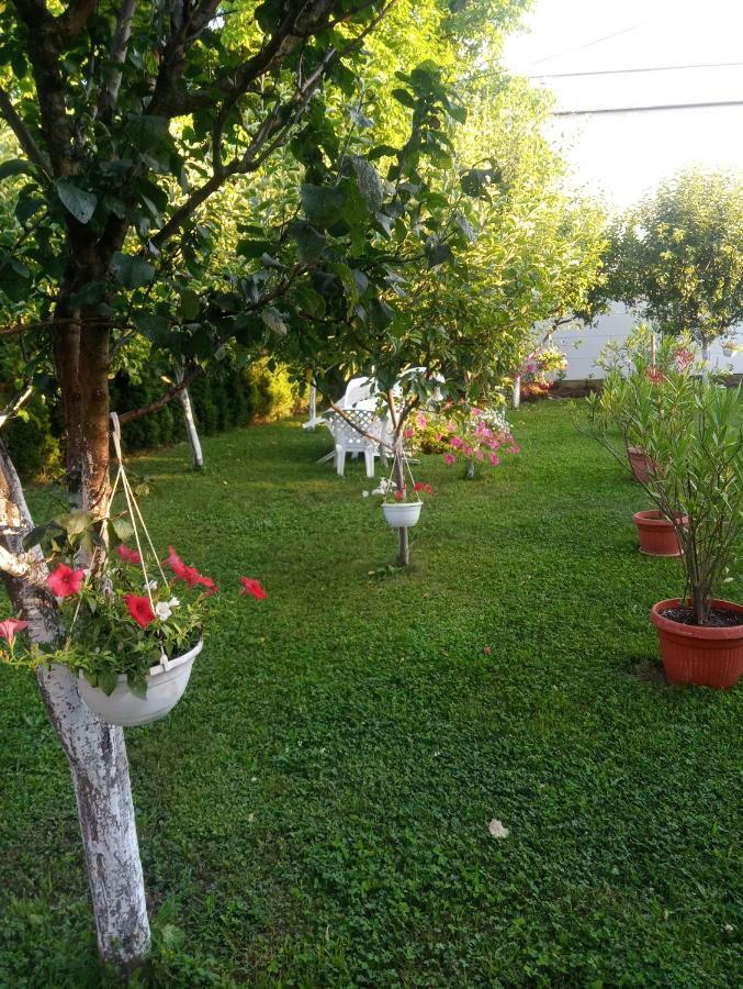 Apartmani Jasmina 2 Bihać Exteriör bild